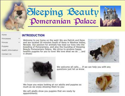 Sleeping Pomeranian